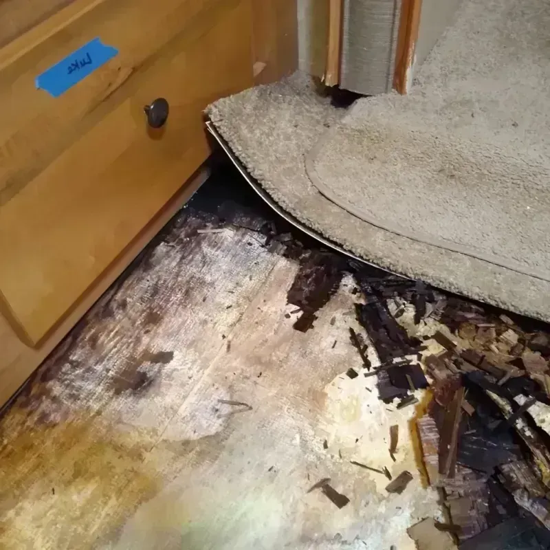 Wood Floor Water Damage in Dothan, AL